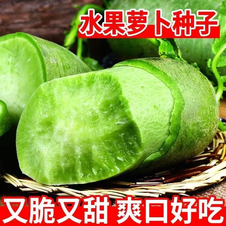冰糖脆水果萝卜种子生吃脆甜农家蔬菜四季播种阳盆栽绿萝卜
