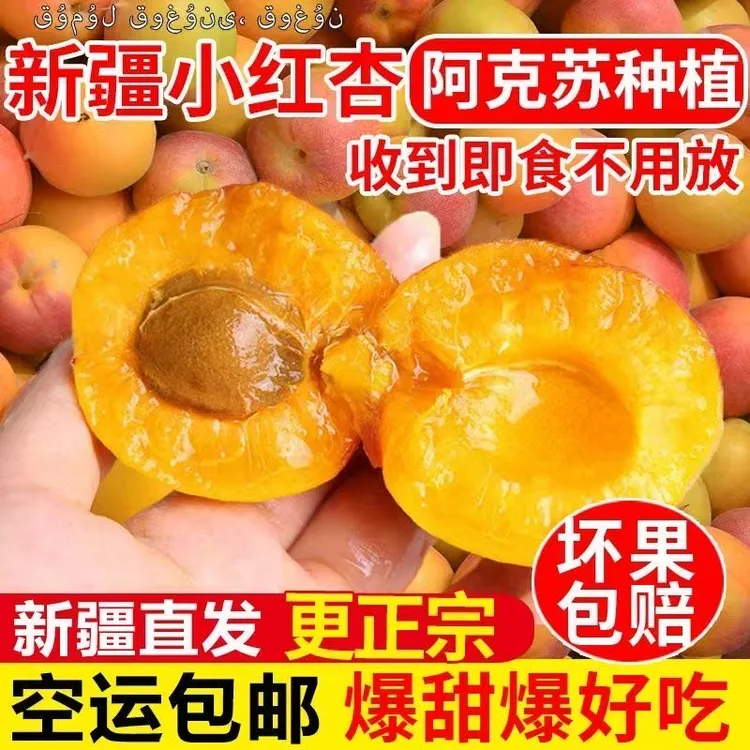 【新疆空运直发】正宗小红杏应季当季新鲜水果吊干杏胜小白杏