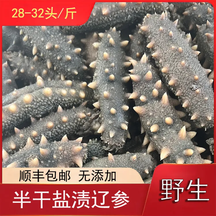 大连野生半干盐渍（28~32）头/斤顺丰包邮冷冻大连大连辽刺参
