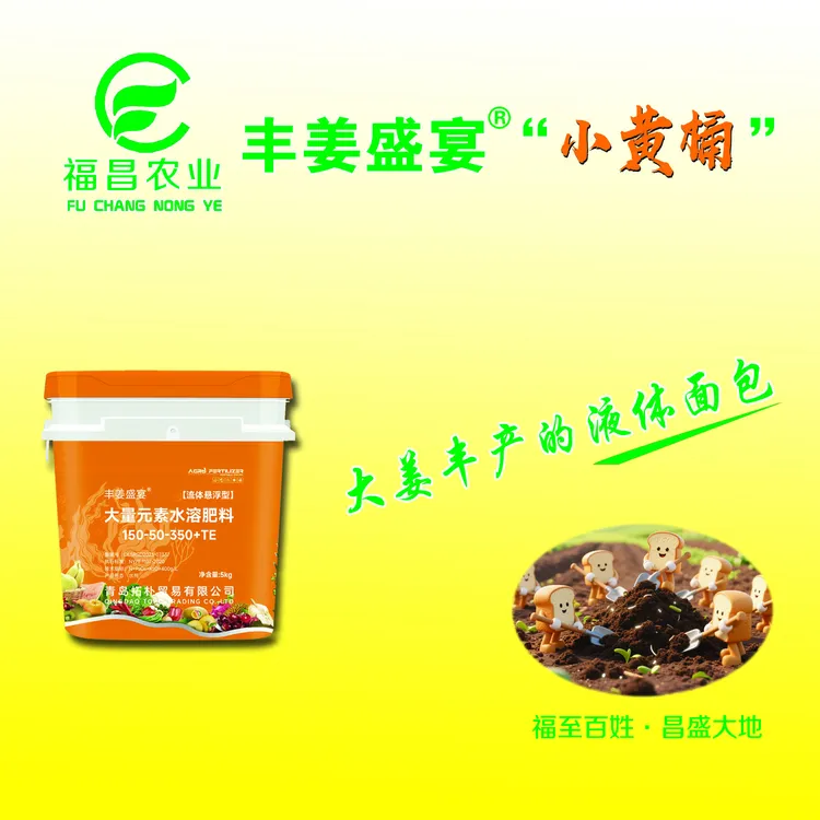 丰姜盛宴小黄桶 高钾悬浮肥 氨基酸大量元素 生姜膨大液体面包