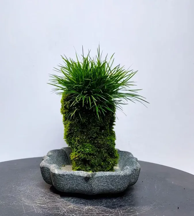 意阔老师原创吴定石纯手工精雕孤品13*8*19