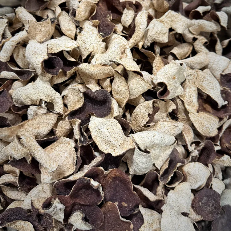 【甜糯】2022梅江塞口围原枝大红皮新会陈皮2020梅江塞口围圈枝冬后