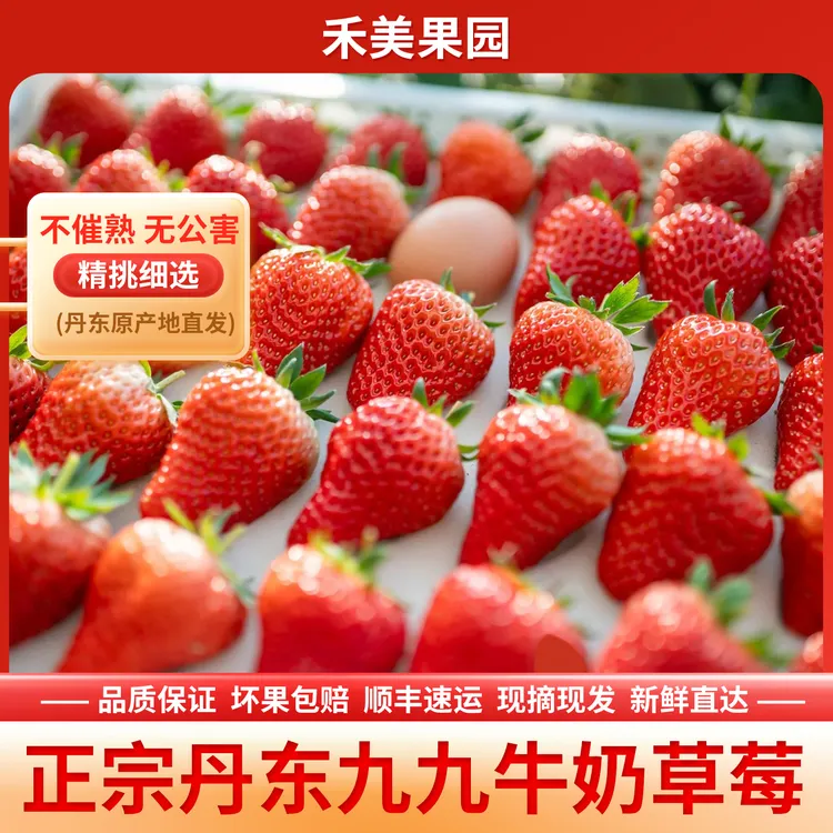 逢喜季丹东九九草莓红颜东港产地直发顺丰空运丹东99牛奶大草莓