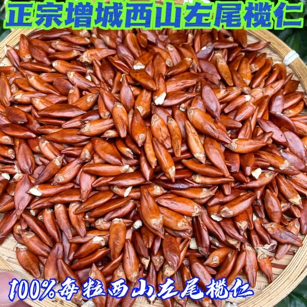 正宗增城西山榄仁粒粒精选左尾乌榄原产地红皮橄榄仁五仁之首