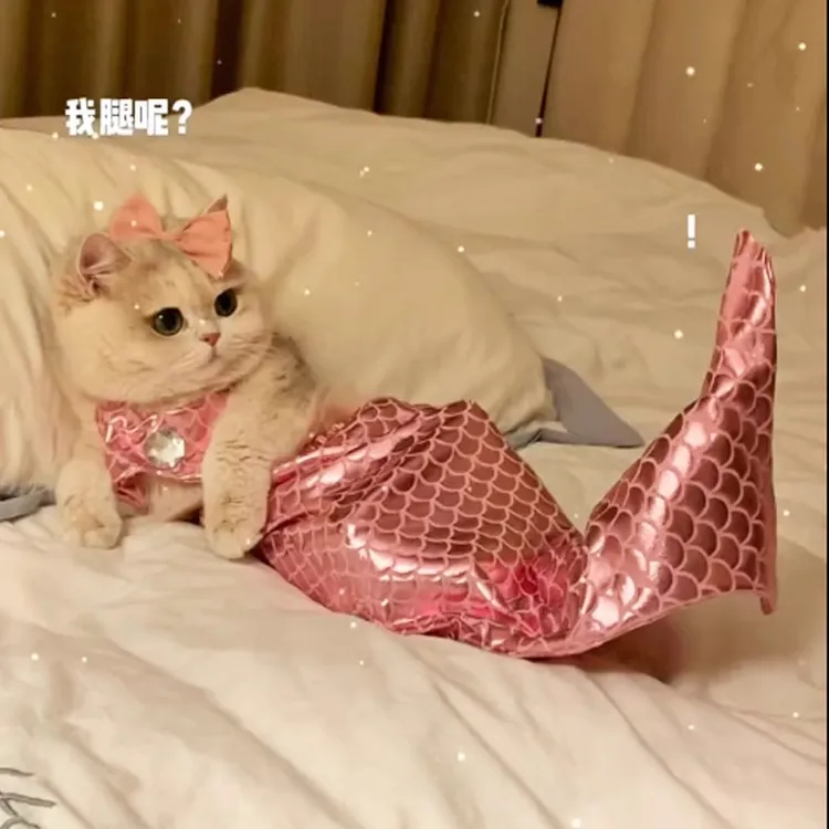 【下班】猫咪衣服美人鱼搞笑装宠物小猫布偶鱼尾装饰搞怪拍照服装