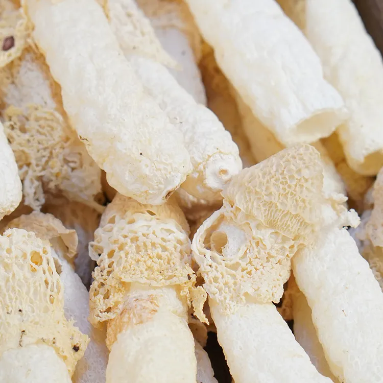 贵州 红托  竹笙 爽口