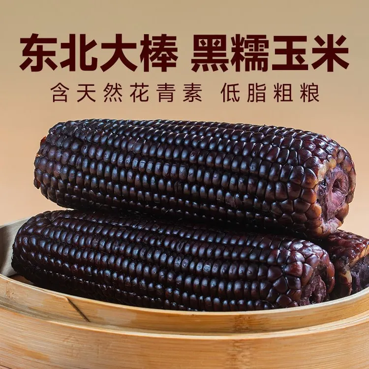 【试吃五根】东北黑糯玉米香甜软糯真空包装单根不低于260克
