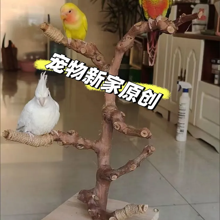 鹦鹉葡萄木站杆玄凤鸟站杠磨爪棒磨嘴磨牙棒站棍站台鸟具首饰品架