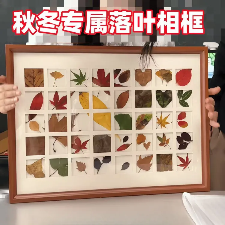 秋冬款落叶收集手工相画框48宫格树叶标本diy捡秋36宫格桌面摆件