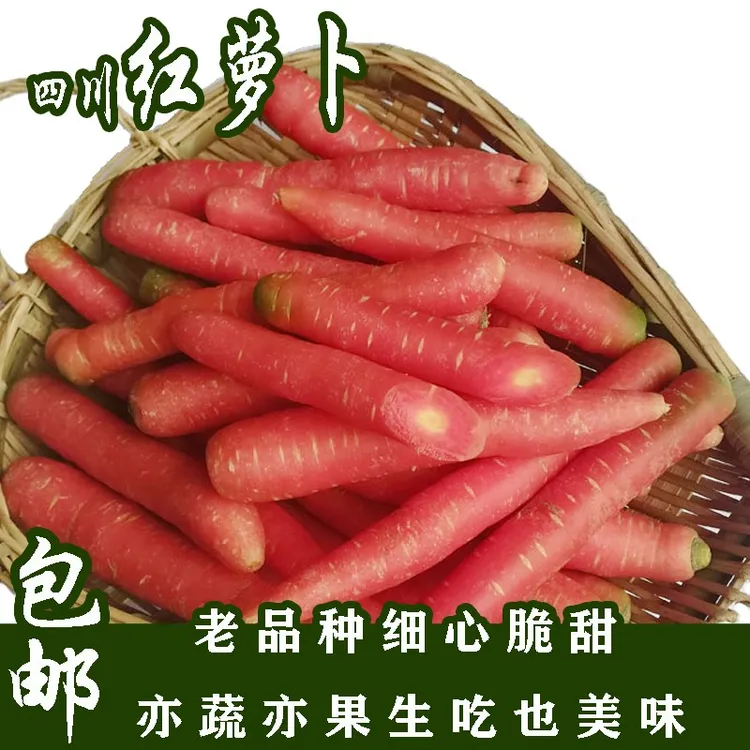 四川本地精品细心红萝卜农家小水果红萝卜脆甜胡萝卜老品种