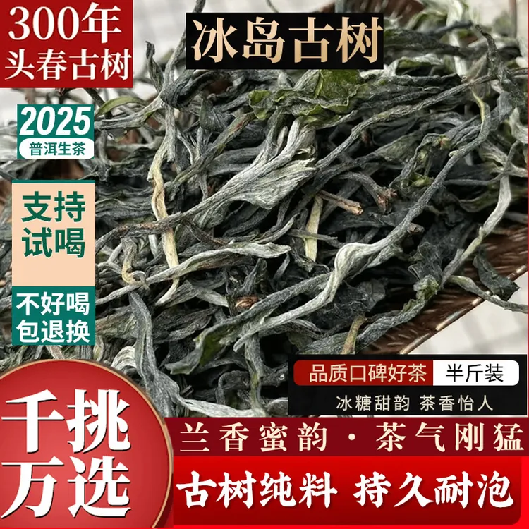 2025年头春冰岛古树生茶 茶农手工制作 冰糖鲜爽甜韵云南普洱茶叶