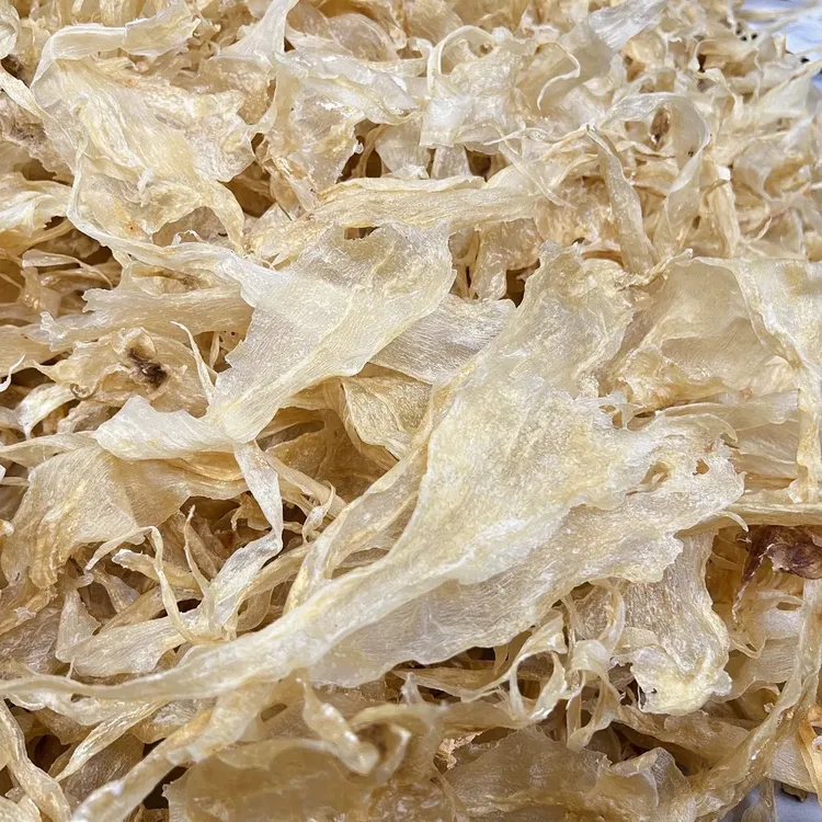 北海深海天然公肚鳘鱼胶 煲汤炖甜品