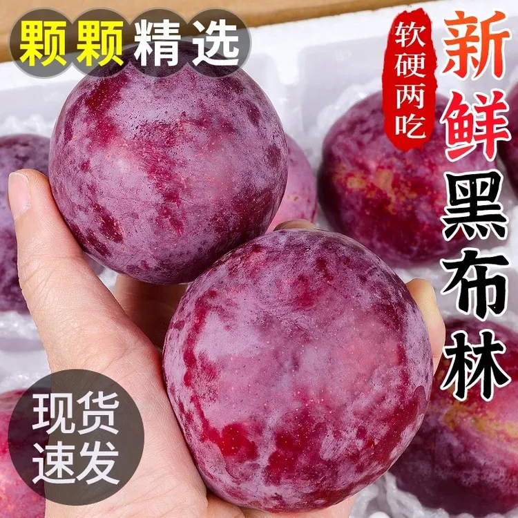 黄肉黑布林李子5斤新鲜水果应当季脆李黑金刚恐龙蛋蜂糖大果包邮3
