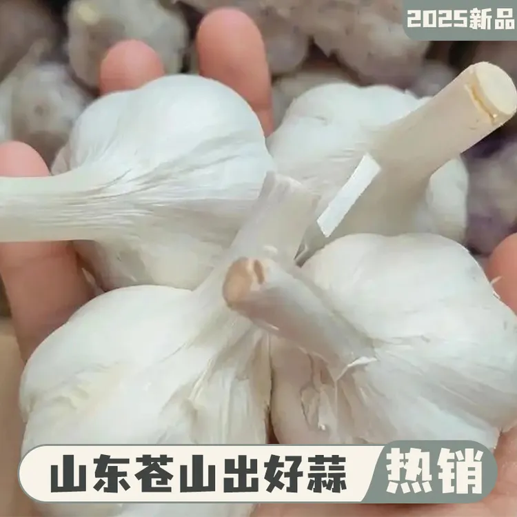 山东农家自种2025新蒜苍山四六瓣白皮大蒜新干蒜苍山四六瓣大蒜