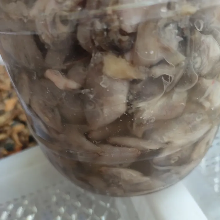 福建特产湄洲岛鲜美味的特色海产