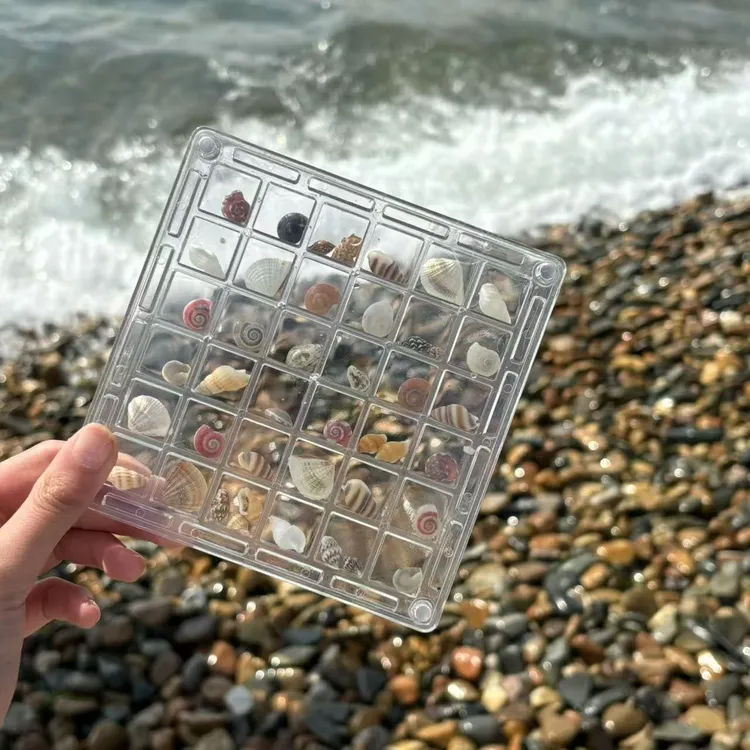 一盒贝壳天然迷你小海螺贝壳蜗牛壳真的装贝壳的盒子带贝壳亚克力