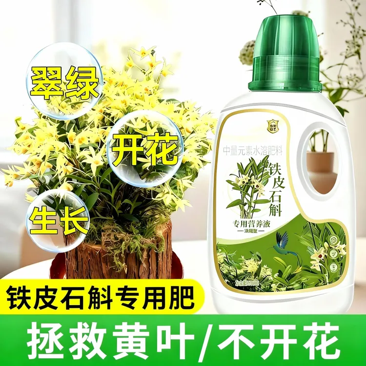石斛兰专用营养液浓缩型铁皮石斛兰专用肥生根壮苗催花掉叶