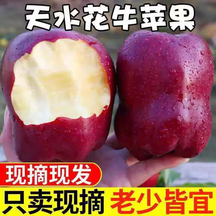 甘肃天水花牛苹果当季新鲜水果 脆粉两吃 整箱包邮 4.5-8斤装