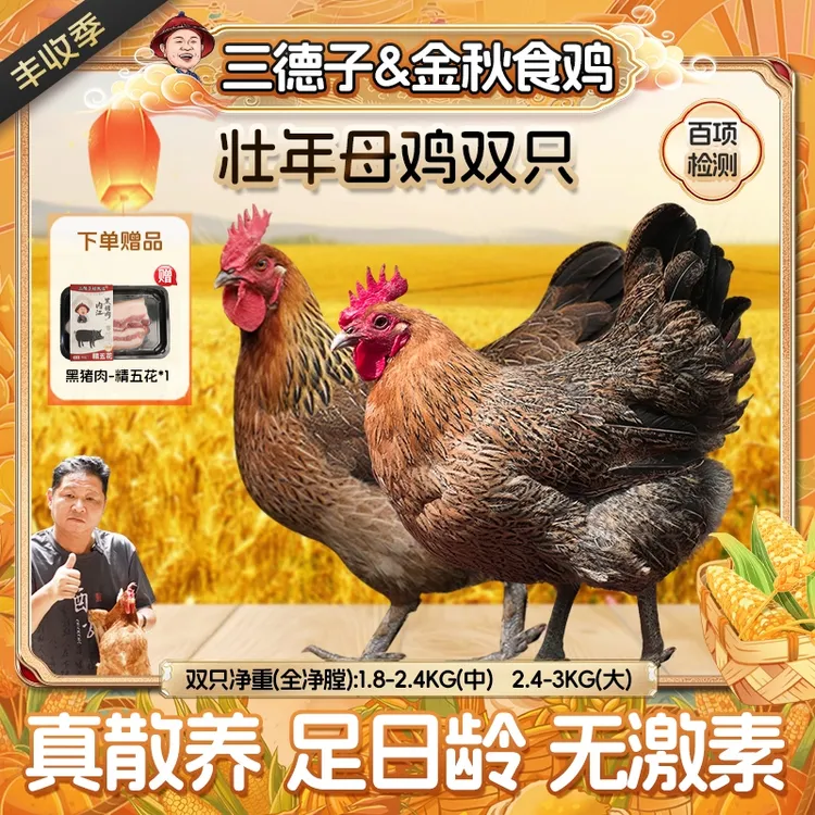 三德子【两只壮年母鸡】高品质生态散养土鸡老母鸡土鸡新鲜美味滋补
