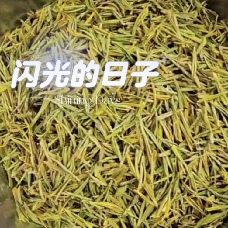 明前芽大碎片春茶新茶豆香板栗香绿茶浓香型