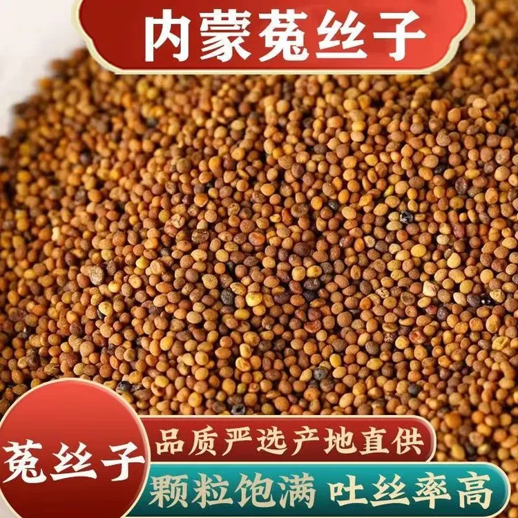 菟丝子精选优质内蒙古菟丝子可搭配沙苑子枸杞泡茶泡水喝品质保障