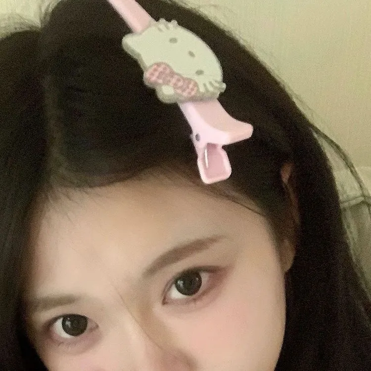 (22个）新款ins醋酸发夹简约刘海夹凯蒂发夹高级感碎发鸭嘴夹