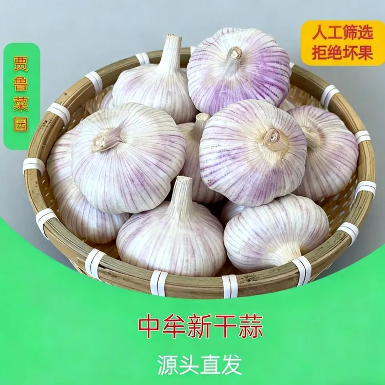 (产地直发)2025中牟紫皮大蒜3斤5斤9斤(含箱重)