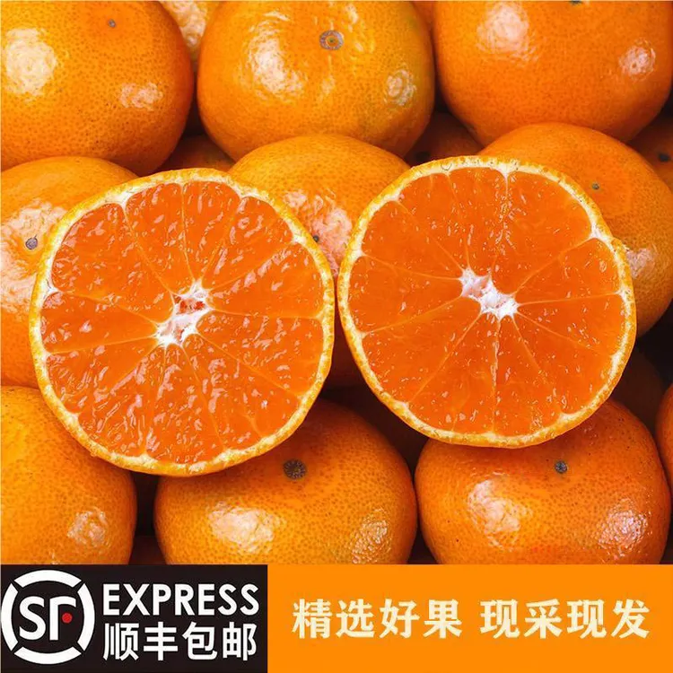 【浙江农博会专属】浙江台州涌泉蜜桔孕妇小孩老人维生素顺丰上门