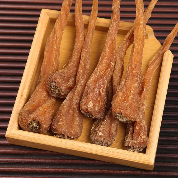 【视频专属】阳起参百搭茶