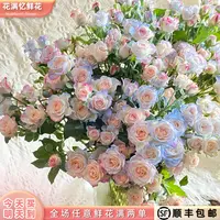 次日达 -【碎冰蓝折射泡泡】5枝多头玫瑰鲜花鲜切花家居用花发两单升级顺丰包邮三单送随机花瓶今天拍明天到cc