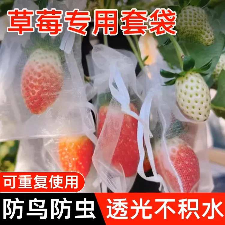 葡萄专用套袋果袋防虫适用露天网袋网纱阳光玫瑰水果套葡萄专用袋