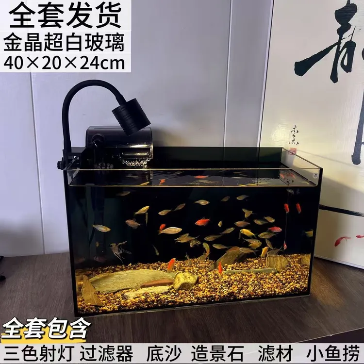 【金晶超白】40×20×24厘米5毫米厚家居桌面生态鱼缸鱼缸家用小型
