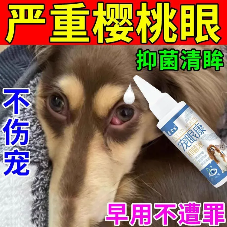 【狗狗樱桃眼滴眼液】狗狗第三眼睑增生腺体脱出眼水眼息肉眼睛发红
