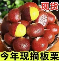 【买3斤送2斤】2025年新鲜现摘高山板栗甘甜清脆生栗子板栗