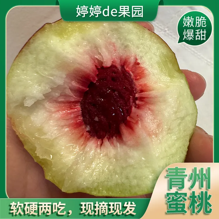 【正宗青州山地蜜桃】正宗青州蜜桃脱骨离核孕妇水果应季水果山野桃