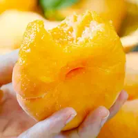 【黄金毛蟠桃】露天黄金毛蟠桃香甜可口新鲜采摘水果