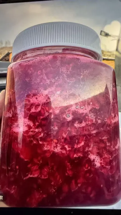 女神玫瑰蜜酿直接冲泡即可享受甜蜜滋味