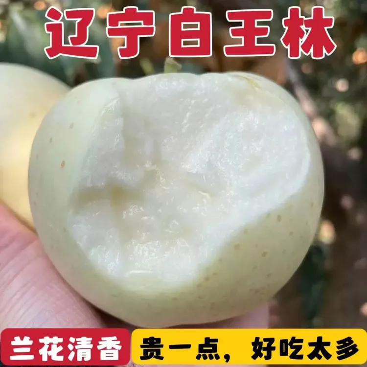 坏果包赔正宗青森新鲜王林苹果产地直发奶油非阿克苏冰糖心苹果