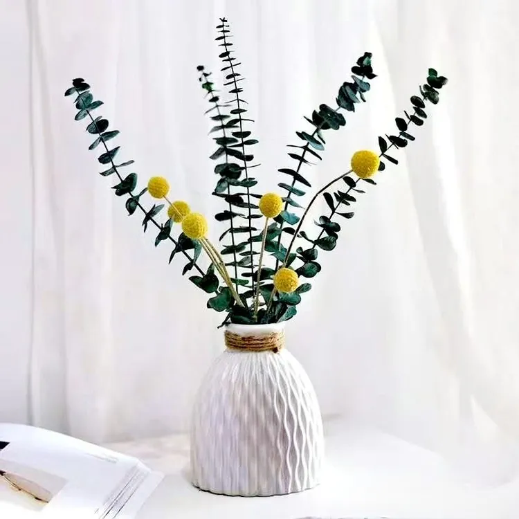 尤加利干花花束尤加利叶黄金球搭配自然风干花束装饰金色永生花