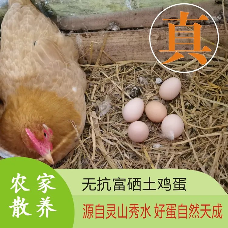 【京东上门】40枚九华山土鸡蛋农家高山散养无抗无菌可生食