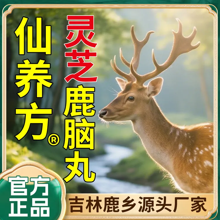 【仙养方灵芝鹿脑丸】灵芝+鹿脑—高浓缩—好吸收 新老包装随机发货