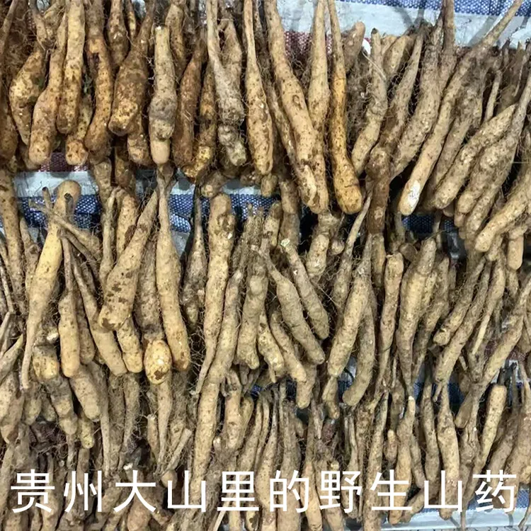 贵州大山里的野生山药口感细腻粉糯