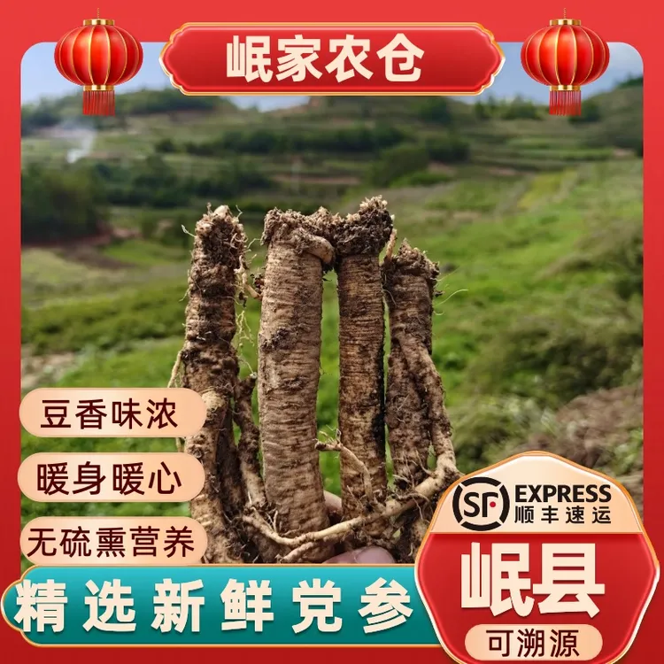 甘肃现挖新鲜党参大条 产地直销当天采挖 无硫滋补煲汤泡8+1的