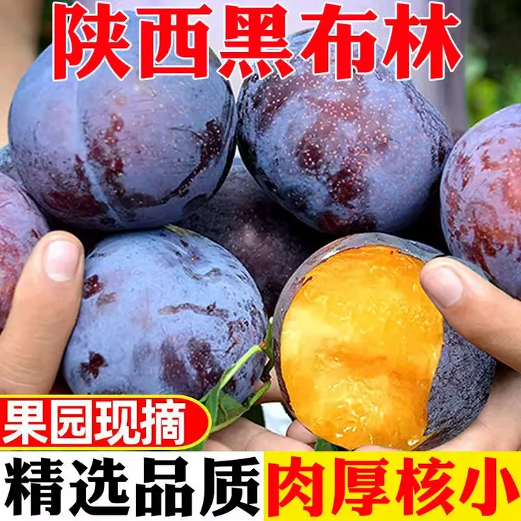 2025陕西黑布林李子酸甜爽口新鲜现摘当季水果