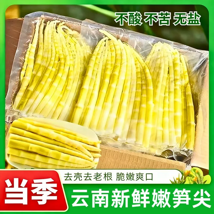 【不苦】新鲜小竹笋嫩笋尖火锅食材春笋现挖清水笋竹笋新鲜嫩笋尖