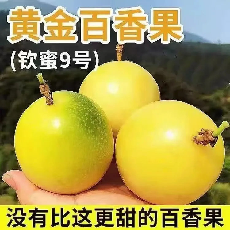 广西新鲜钦蜜9号百香果当季水果鲜甜多汁口感饱满