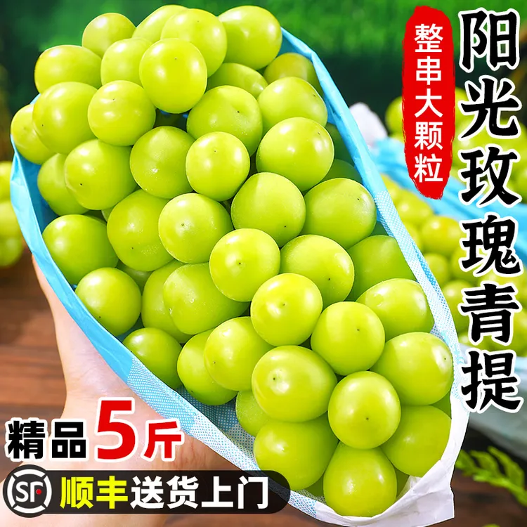 【顺丰】阳光玫瑰葡萄新鲜水果礼盒当季应季脆甜无籽青提现货★