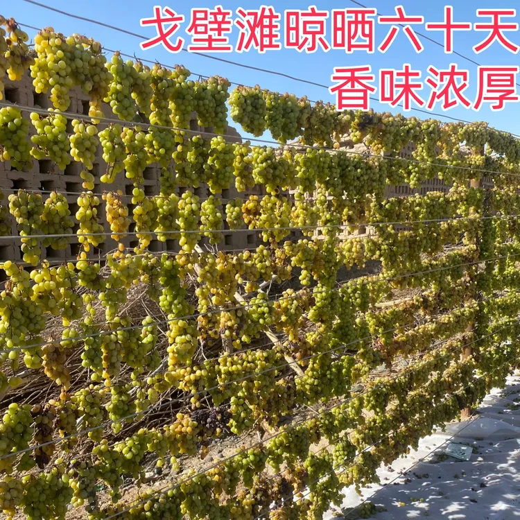 新疆特产吐鲁番阳光玫瑰有籽葡萄干自然风干无速干剂无添加500克