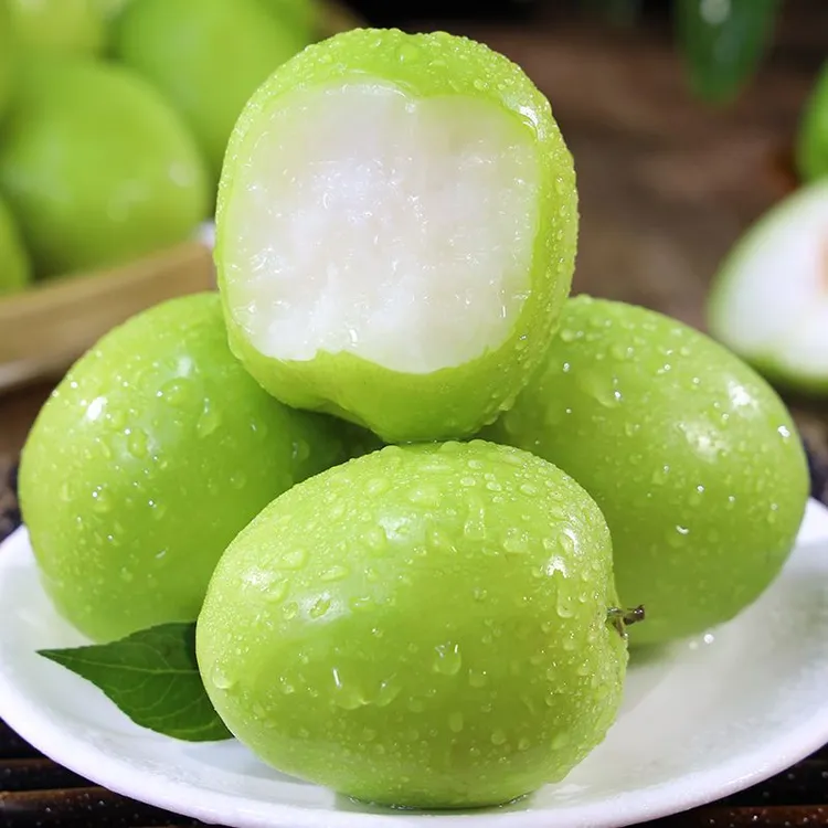 小耘乡贵妃枣牛奶枣大青枣脆甜多汁现摘现发当季新鲜水果