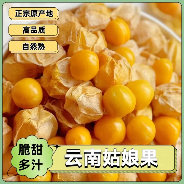 【坏果包赔】云南版纳新鲜姑娘果灯笼果香甜多汁产地直发孕妇水果JD